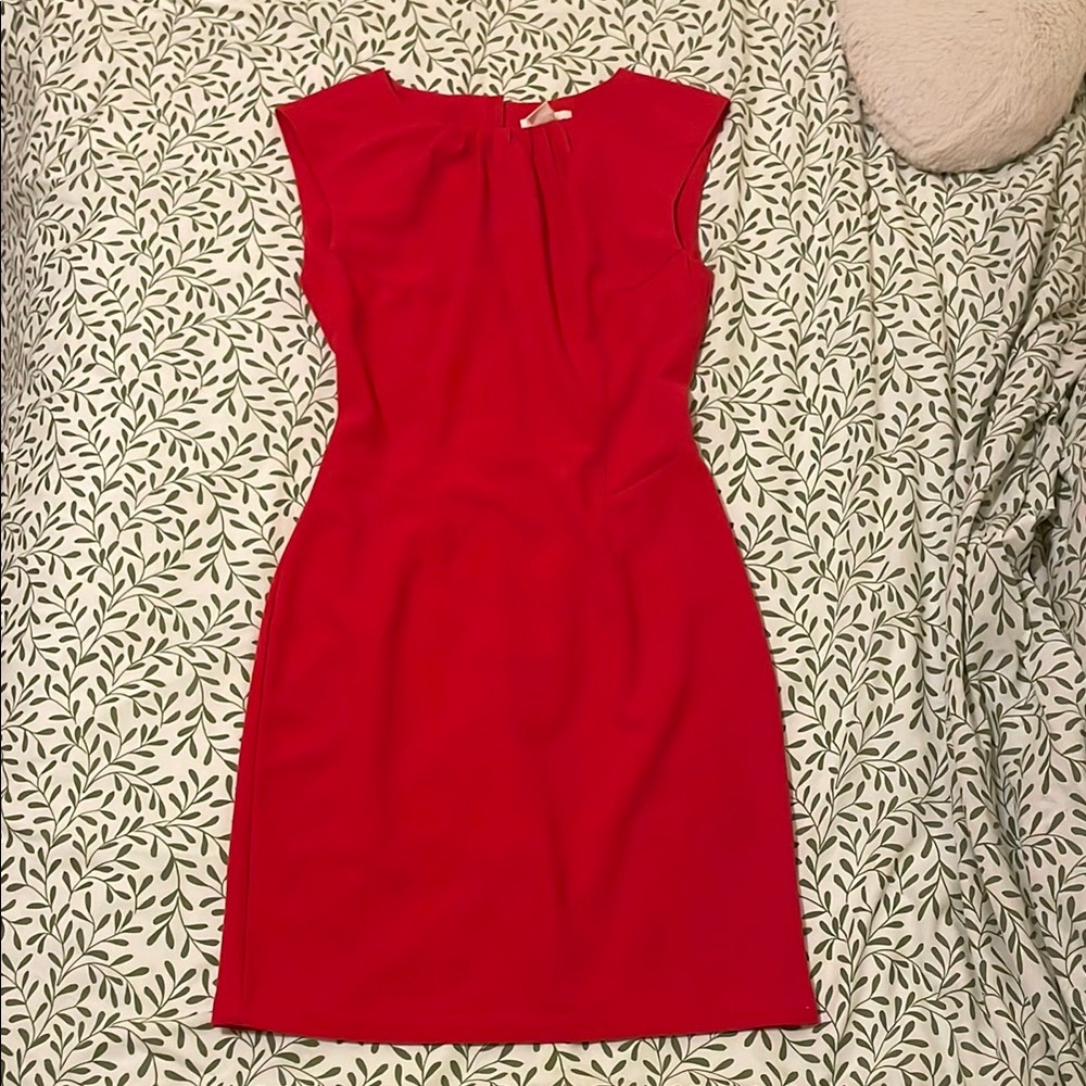 Elegant Red Sleeveless Dress H&M Size 8